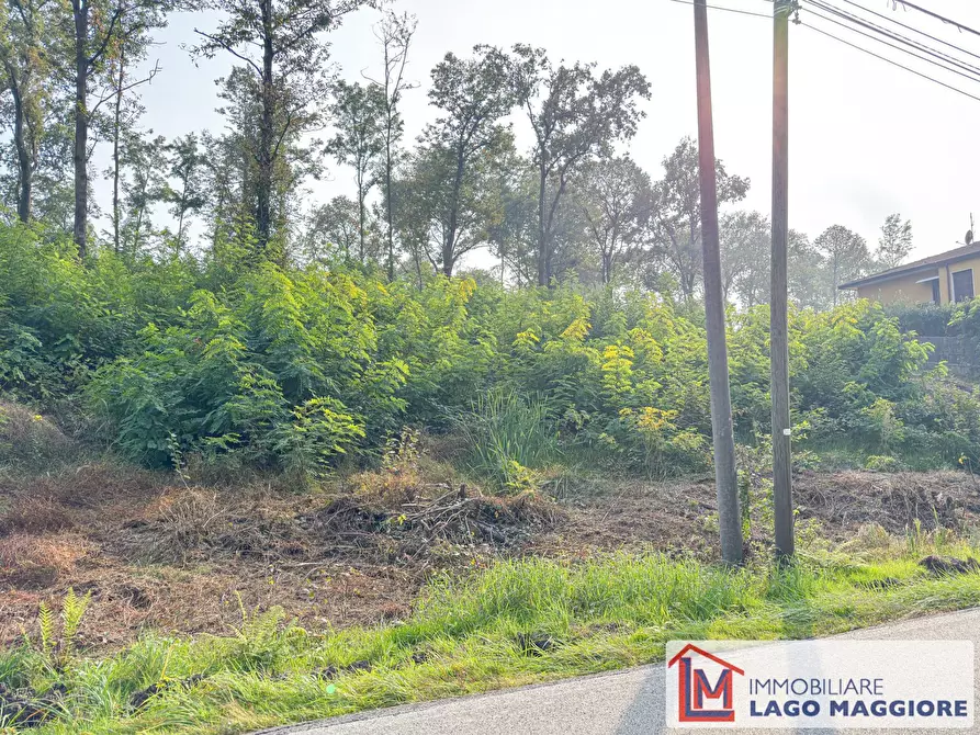 Immagine 16 di Terreno agricolo in vendita  in Via Mirabella a Malgesso