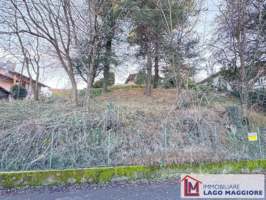 Immagine 3 di Terreno residenziale in vendita  in Via Fontanelle a Caravate