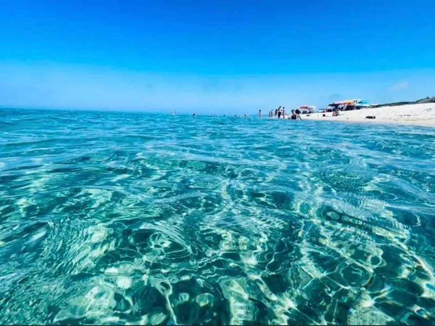 Immagine 3 di Appartamento in vendita  in Pineta San Pietro a Mare a Valledoria