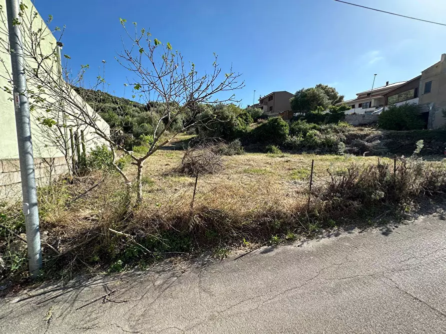 Immagine 2 di Terreno residenziale in vendita  in Via San Nicola a Badesi
