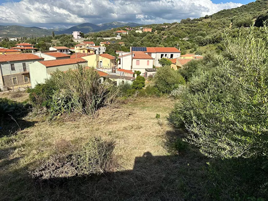 Immagine 6 di Terreno residenziale in vendita  in Via San Nicola a Badesi