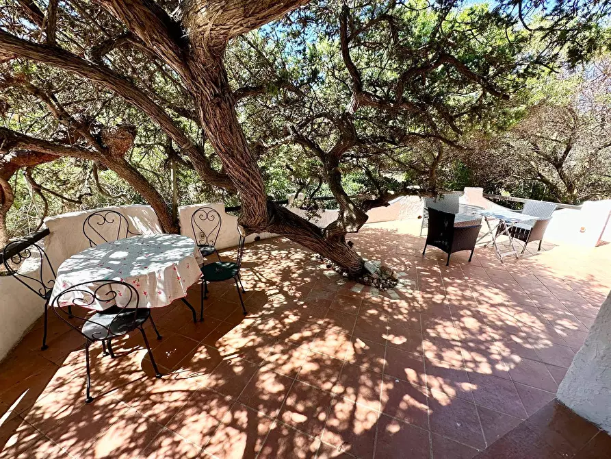 Immagine 23 di Appartamento in vendita  in San Pietro  mare a Valledoria