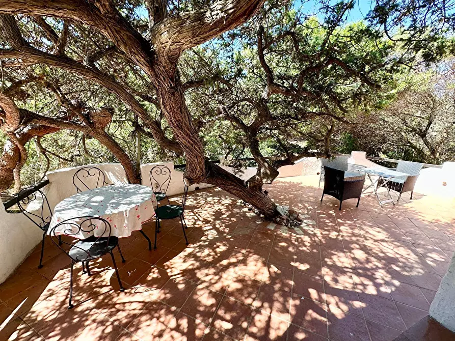 Immagine 24 di Appartamento in vendita  in San Pietro  mare a Valledoria