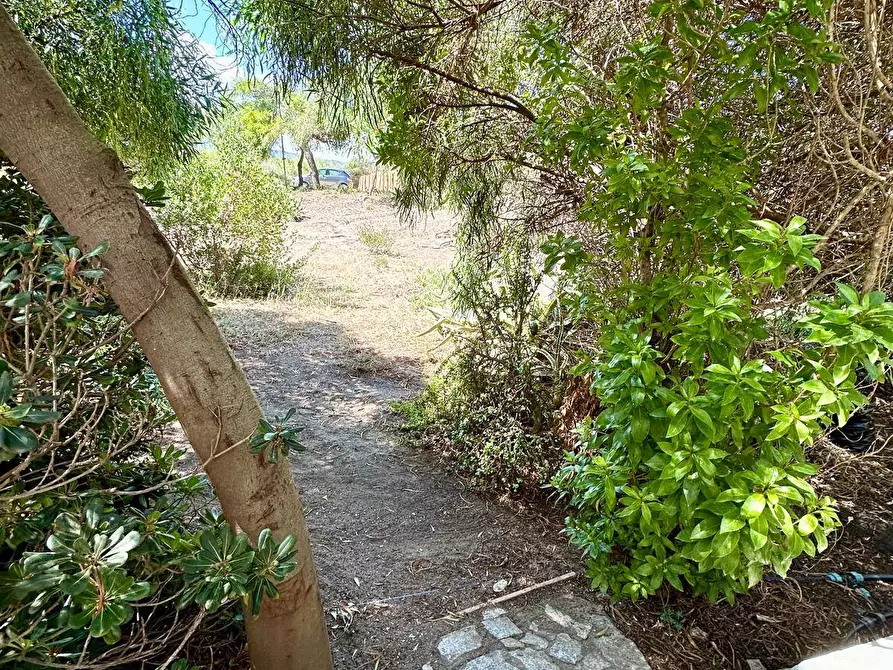 Immagine 28 di Appartamento in vendita  in San Pietro  mare a Valledoria