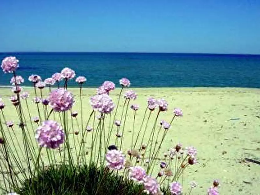 Immagine 12 di Appartamento in vendita  in Baia delle Mimose a Badesi
