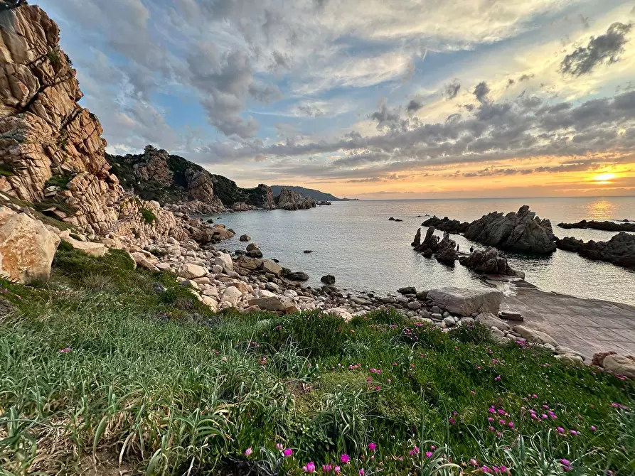 Immagine 23 di Casa semindipendente in vendita  in via Prunzilvunu snc a Trinità D'agultu E Vignola