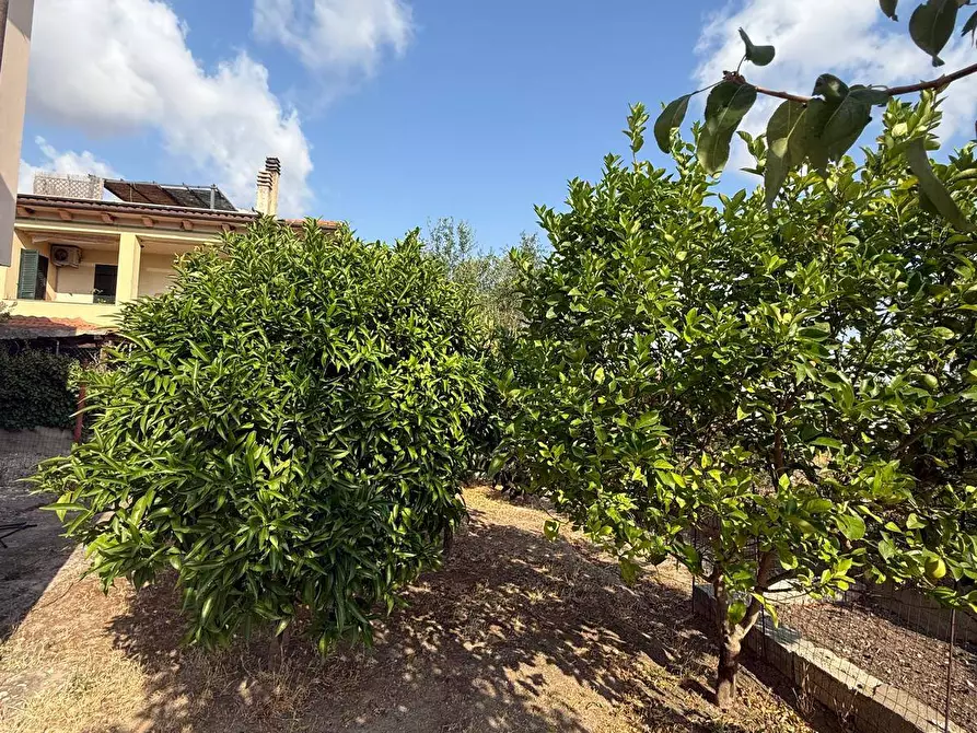 Immagine 14 di Villa in vendita  in via Cesare Battista 7/A a Perfugas