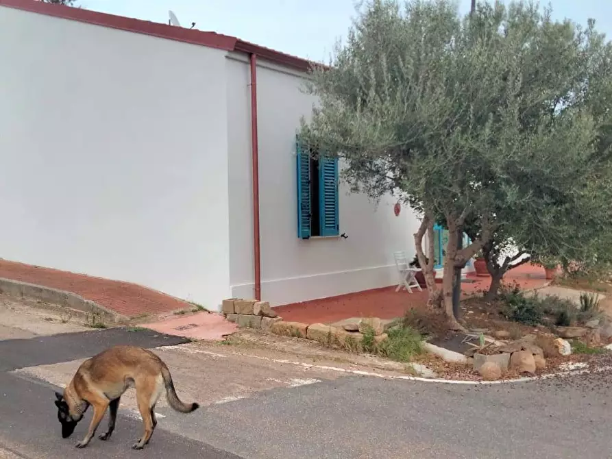 Immagine 5 di Casa indipendente in vendita  in fraz Giuncana a Badesi