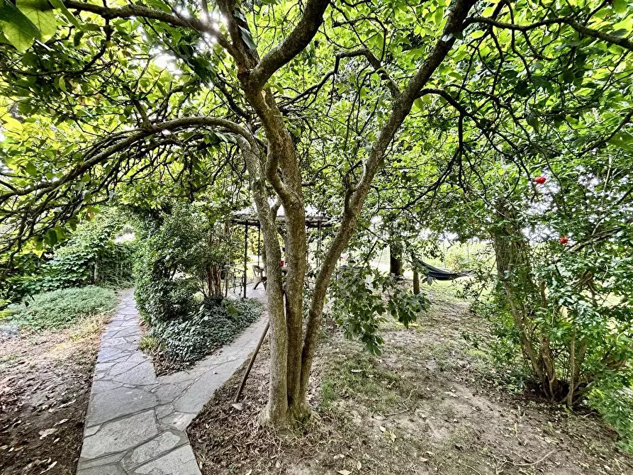 Immagine 31 di Casa indipendente in vendita  in Via Cercenasco a Virle Piemonte