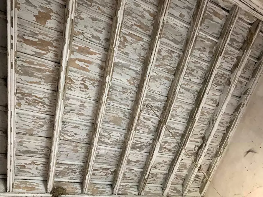 Immagine 11 di Rustico / casale in vendita  in Via La Loggia 19/B a Carignano