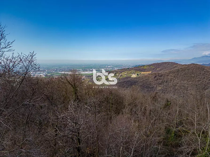 Immagine 54 di Villa in vendita  in Via strada del colle a Adrara San Martino