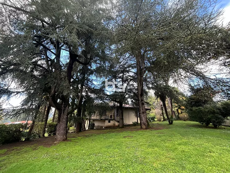 Immagine 37 di Casa indipendente in vendita  in via papa giovanni XXIII 22 a Adrara San Martino