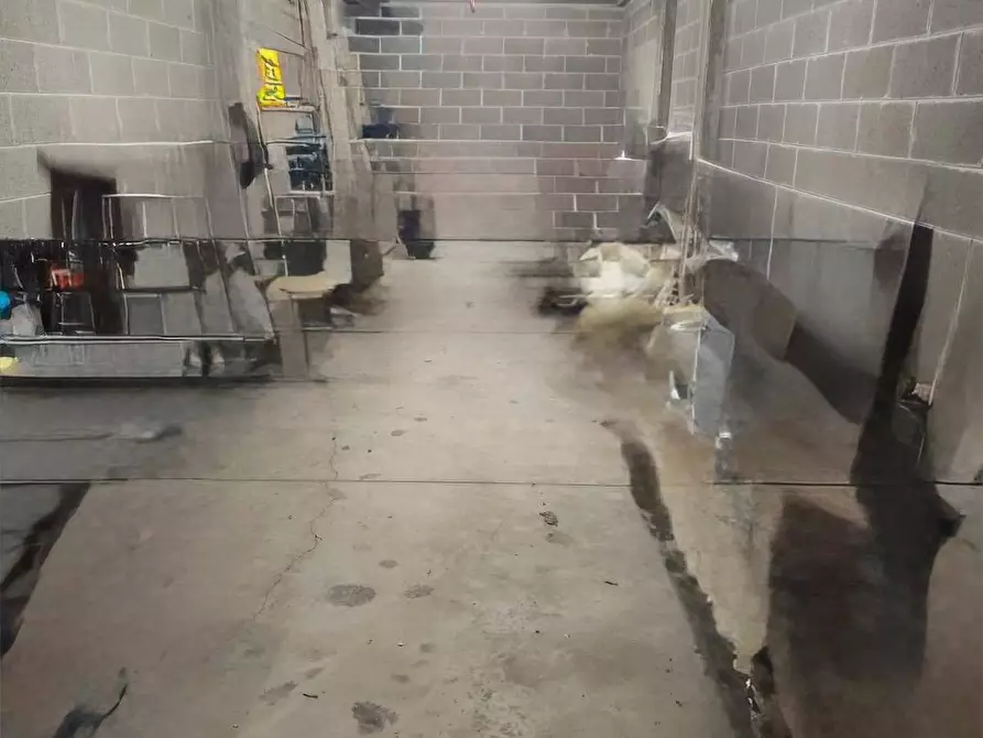 Immagine 14 di Appartamento in affitto  in via per rovato a Iseo