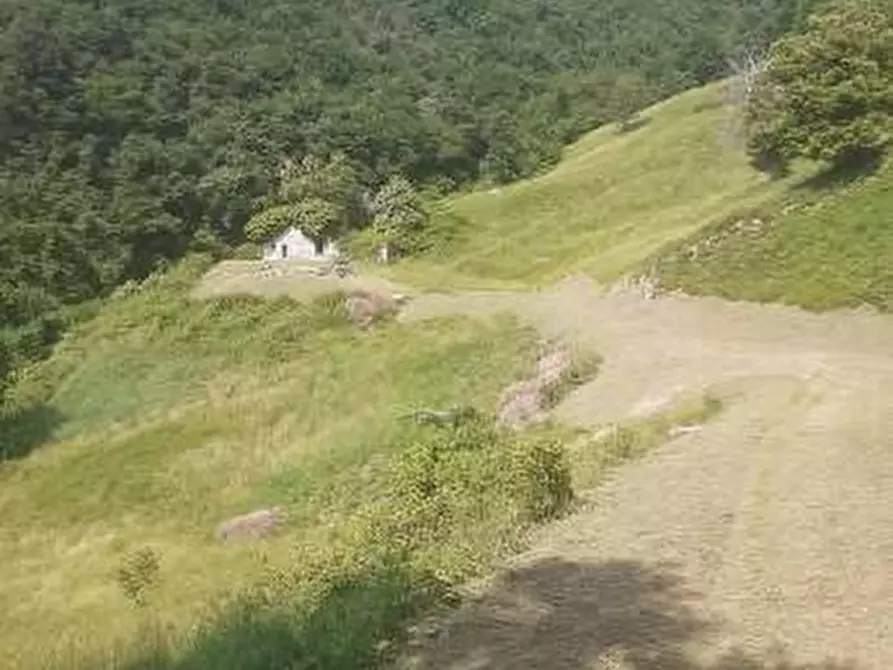 Immagine 5 di Terreno agricolo in vendita  a Adrara San Martino