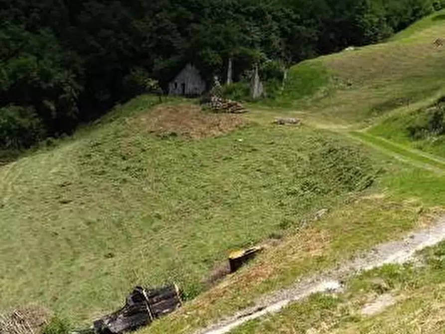 Immagine 4 di Terreno agricolo in vendita  a Adrara San Martino