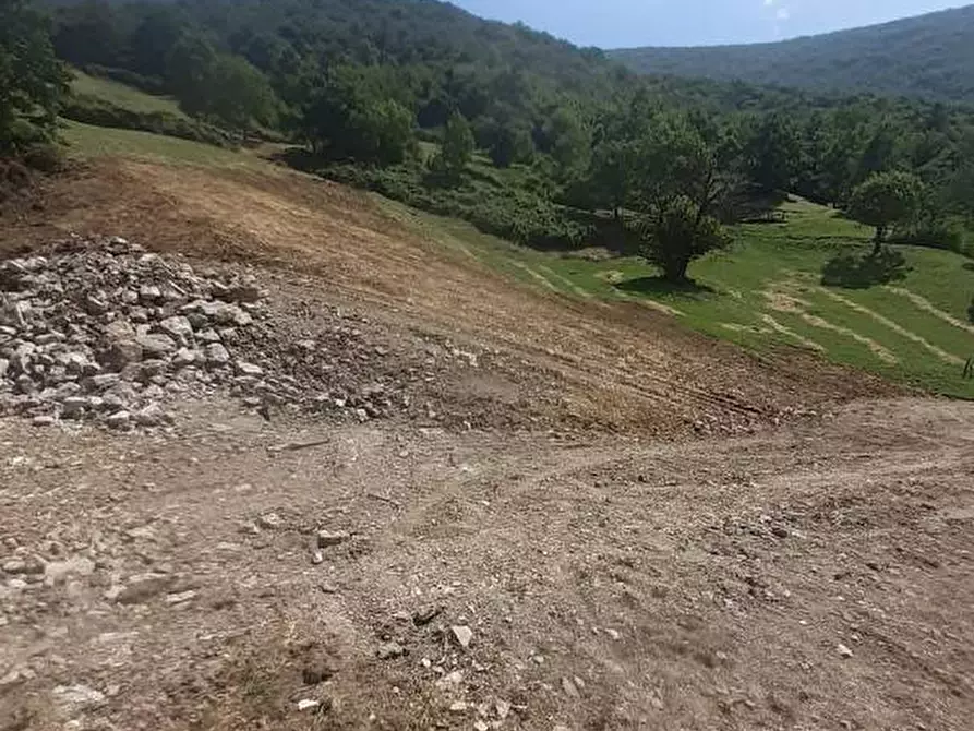 Immagine 16 di Terreno agricolo in vendita  a Adrara San Martino