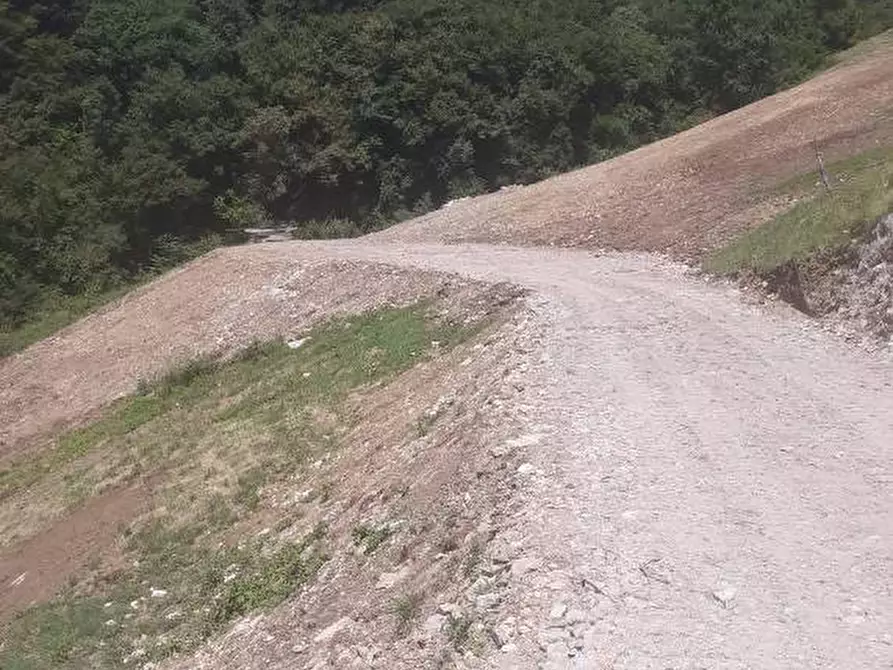Immagine 6 di Terreno agricolo in vendita  a Adrara San Martino