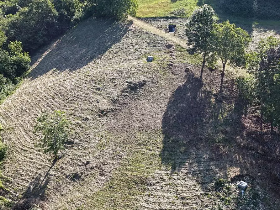Immagine 3 di Terreno agricolo in vendita  a Adrara San Martino