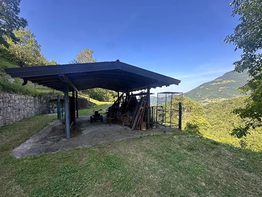 Immagine 8 di Terreno agricolo in vendita  a Adrara San Martino