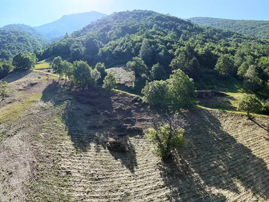 Immagine 1 di Terreno agricolo in vendita  a Adrara San Martino