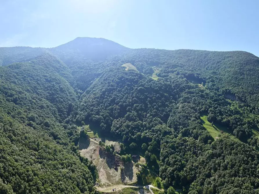 Immagine 10 di Terreno agricolo in vendita  a Adrara San Martino