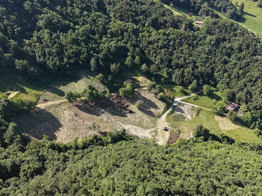 Immagine 2 di Terreno agricolo in vendita  a Adrara San Martino