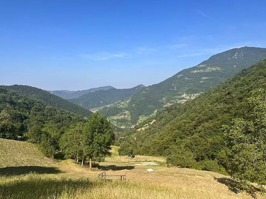 Immagine 14 di Terreno agricolo in vendita  a Adrara San Martino