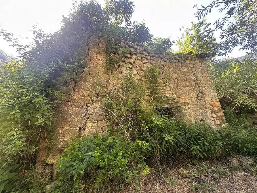 Immagine 9 di Terreno agricolo in vendita  a Adrara San Martino