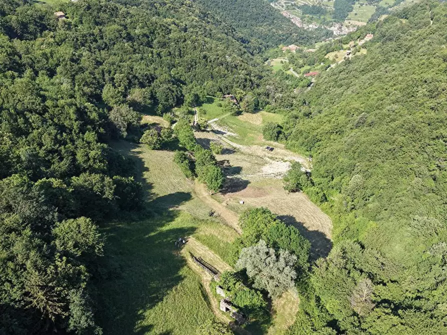 Immagine 7 di Terreno agricolo in vendita  a Adrara San Martino