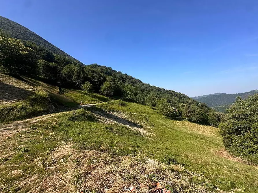 Immagine 15 di Terreno agricolo in vendita  a Adrara San Martino