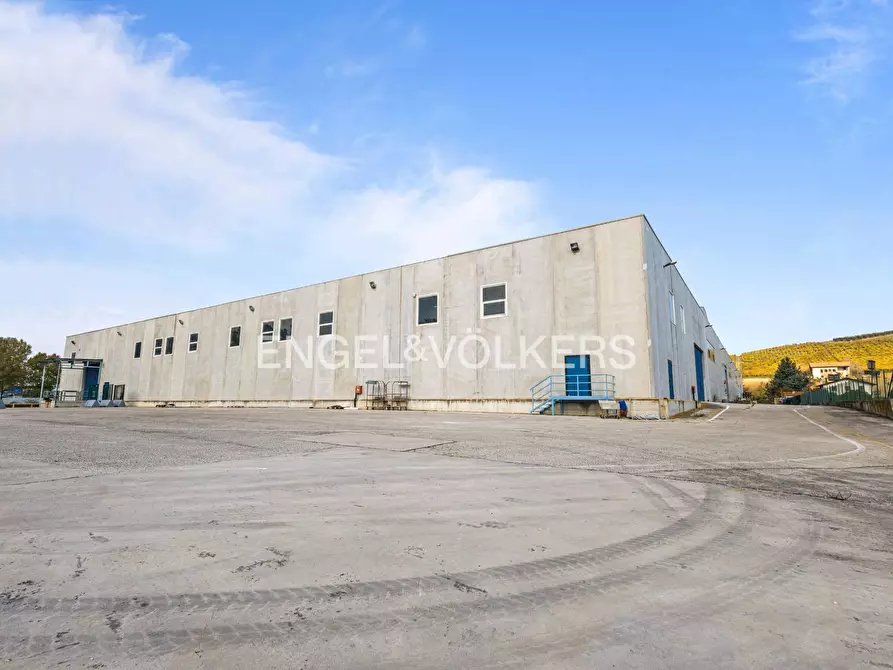 Immagine 10 di Capannone industriale in vendita  in via dell'industria 71 a Tortoreto
