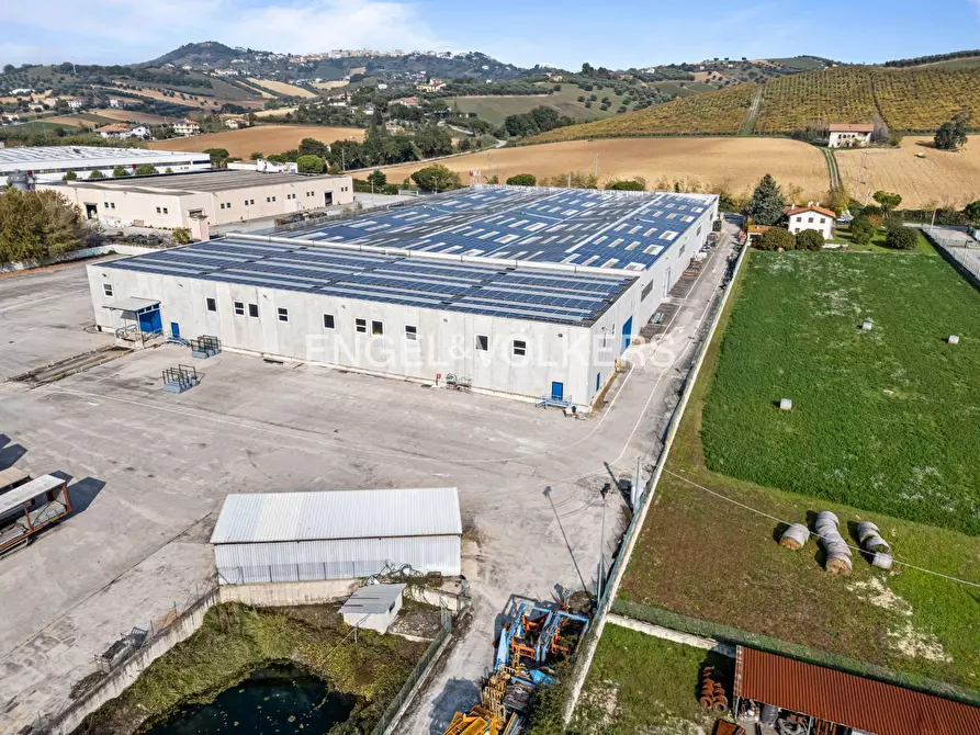 Immagine 12 di Capannone industriale in vendita  in via dell'industria 71 a Tortoreto