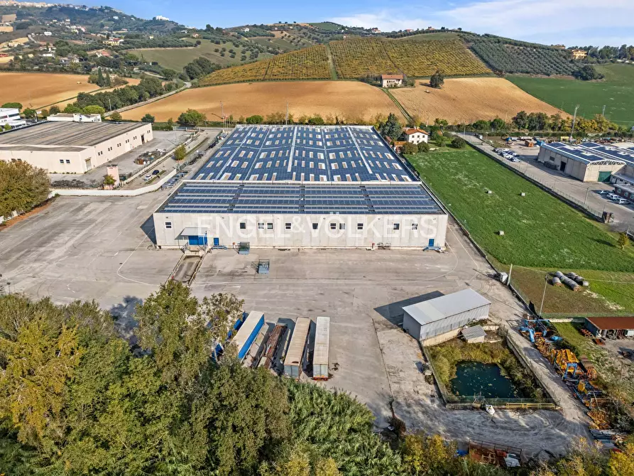 Immagine 15 di Capannone industriale in vendita  in via dell'industria 71 a Tortoreto