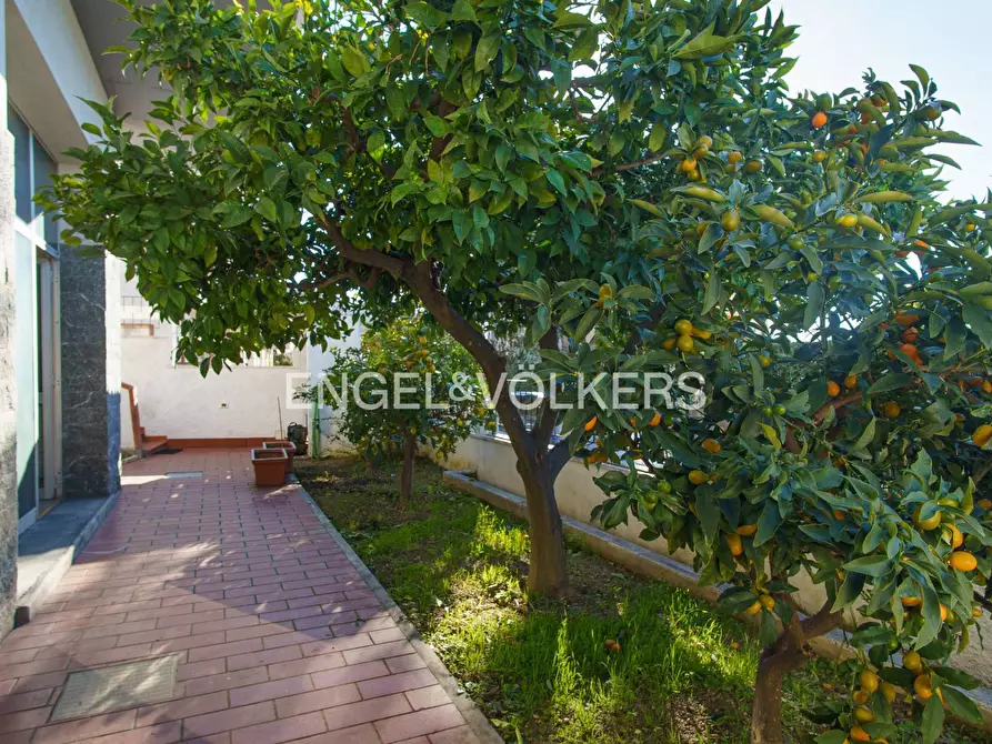 Immagine 15 di Palazzo in vendita  in Via Crisologo 44 a Pescara