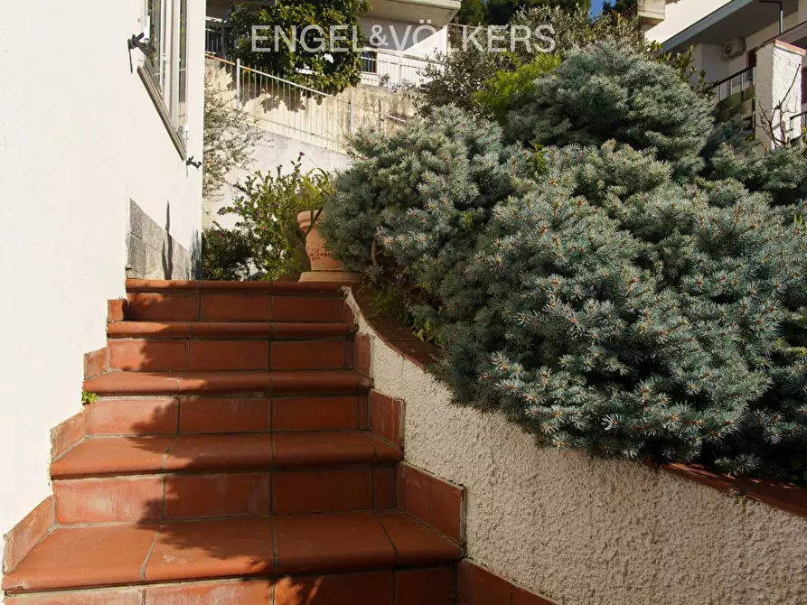 Immagine 43 di Palazzo in vendita  in Via Crisologo 44 a Pescara