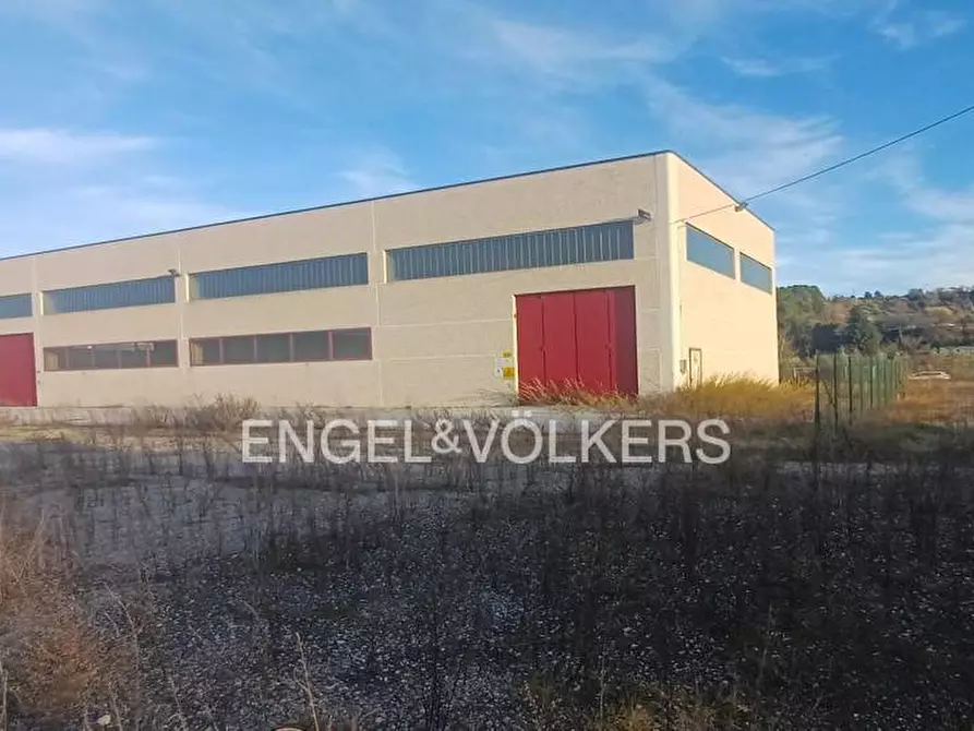 Immagine 3 di Capannone industriale in affitto  in Via Sangro snc a Manoppello