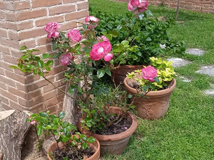 Immagine 28 di Villa in vendita  in STRADA PRIVATA II 6 a Guardiagrele