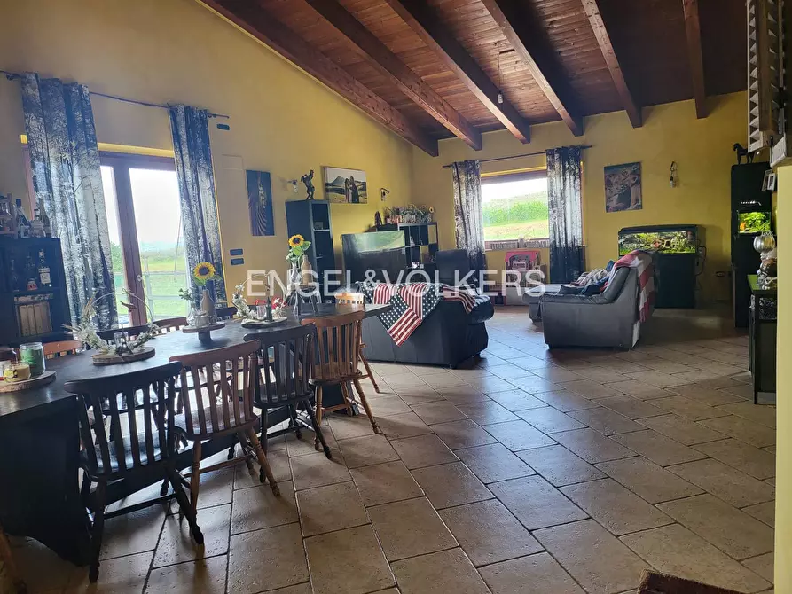 Immagine 11 di Azienda agricola in vendita  in contrada feudo a Rosciano