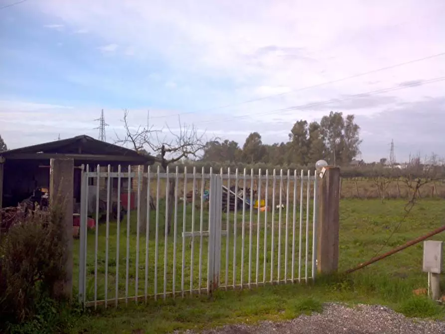Immagine 2 di Terreno agricolo in vendita  a Latina