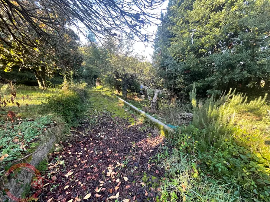 Immagine 3 di Villetta a schiera in vendita  in via variante a Sezze