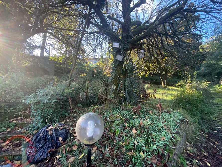 Immagine 4 di Villetta a schiera in vendita  in via variante a Sezze