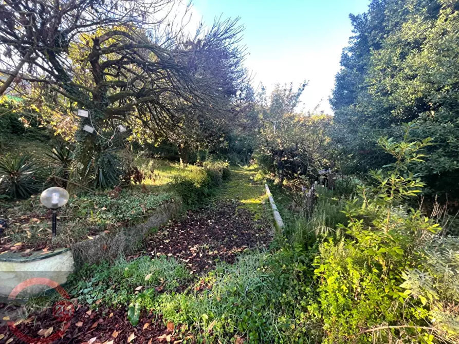 Immagine 51 di Villetta a schiera in vendita  in via variante a Sezze