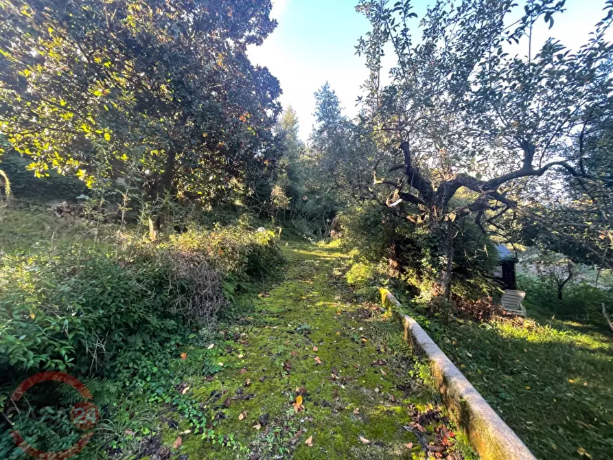 Immagine 52 di Villetta a schiera in vendita  in via variante a Sezze