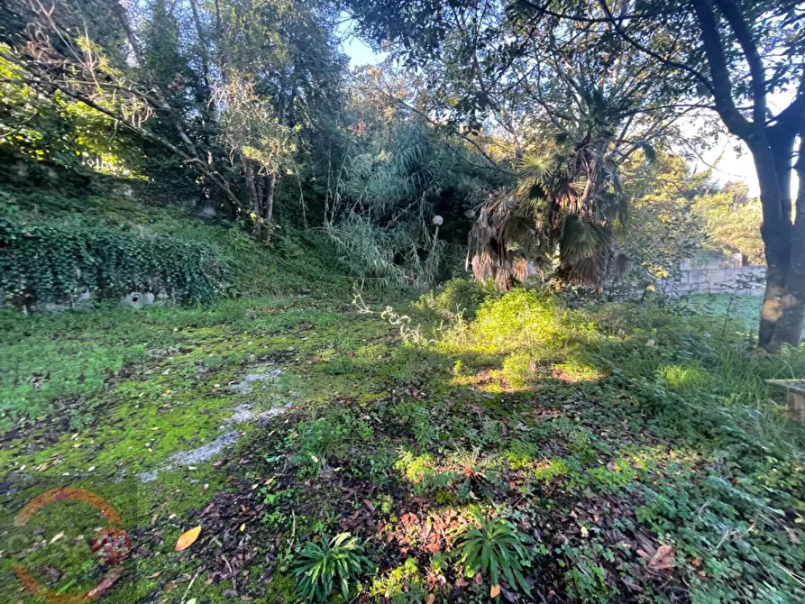 Immagine 58 di Villetta a schiera in vendita  in via variante a Sezze