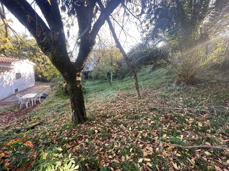 Immagine 62 di Villetta a schiera in vendita  in via variante a Sezze