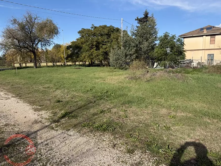 Immagine 1 di Terreno agricolo in vendita  in strada quartaccio a Latina