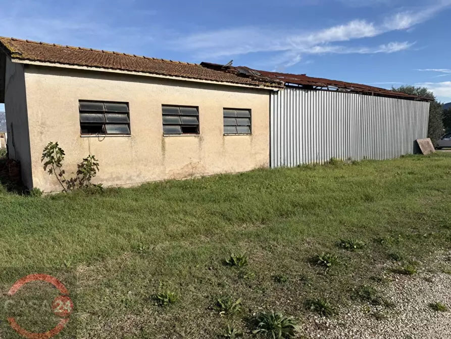 Immagine 2 di Terreno agricolo in vendita  in strada quartaccio a Latina