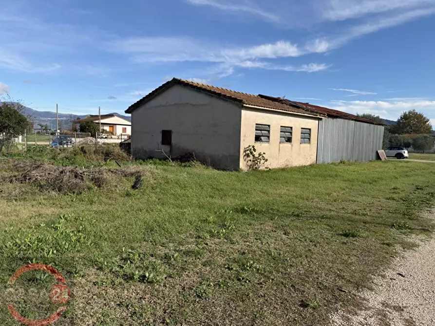 Immagine 3 di Terreno agricolo in vendita  in strada quartaccio a Latina
