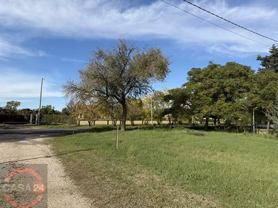 Immagine 4 di Terreno agricolo in vendita  in strada quartaccio a Latina