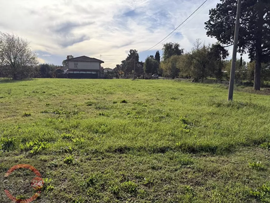 Immagine 5 di Terreno agricolo in vendita  in strada quartaccio a Latina